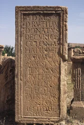 Stela